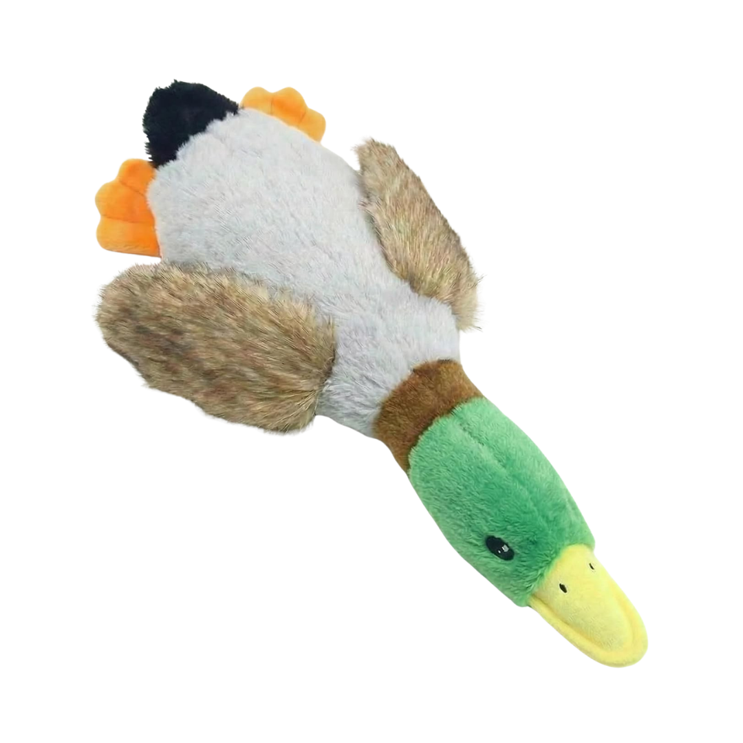 Mallard Duck Plush Dog Toy with Crinkle & Squeaker